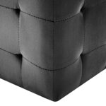 vidaXL 2 Pièces Poufs Noir 30 x 30 x 30 cm Tissu velours