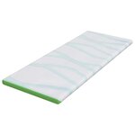 vidaXL Coussins de Matelas Blanc et vert 70 x 200 cm