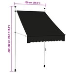 vidaXL Auvent manuel rétractable 100 cm Anthracite