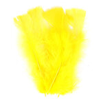 Plumes de dinde 12/18 cm 25g jaune