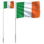 vidaXL Drapeau de l'Irlande et mât 5 55 m Aluminium