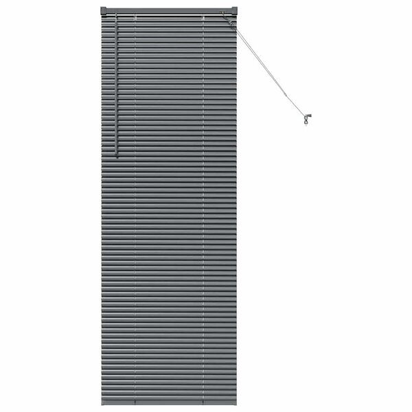 vidaXL Store de Fenêtre avec des rideaux Manuel Gris foncé Aluminium