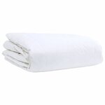 vidaXL Duvet d'été simple avec oreiller 2 Pièces Blanc Plume de canard