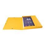 Boite De Classement Exabox Dos 25mm Carte Lustrée Scotten - A4 - Couleurs Assorties - X 10 - Exacompta