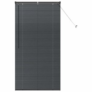 vidaXL Store de Fenêtre avec des rideaux Noir Aluminium