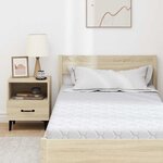 vidaXL Matelas avec Couche de Coco Blanc 200 x 100 cm Mousse PU