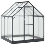 vidaXL Serre de jardin avec porte Anthracite 183 5 x 183 5 x 207 cm
