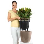 LECHUZA Jardinière CLASSICO LS 43 ALL-IN-ONE taupe brillant 16085
