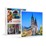 SMARTBOX - Coffret Cadeau Marché de Noël en Europe : 2 jours à Bâle pour profiter des fêtes -  Séjour
