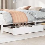 vidaXL Tiroirs sous le lit 2 Pièces blanc 90x55x17 cm bois de pin massif