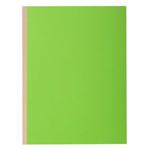 Paquet De 10 Chemises À Soufflet Dos Toilé Rock''s 320g/m2 - 24x32cm - Vert - X 10 - Exacompta