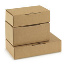 Boîte postale carton brune avec calage mousse rajapack'mousse 20x14x6 cm (lot de 50)