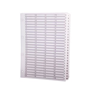 Intercalaires Imprimés À Touches Plastifiées - 100 Touches 1 À 100 - A4 - Blanc - X 2 - Exacompta