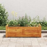 vidaXL Lit surélevé de jardin Bois d'acacia 76x27 6x25 cm