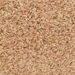 vidaXL Tapis d'escalier auto-adhésifs 15 Pièces Beige 80 x 24 5 x 3 5 cm