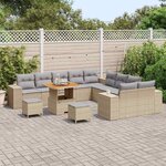 vidaXL Ensemble de canapé de jardin 13 Pièces Beige et Gris clair