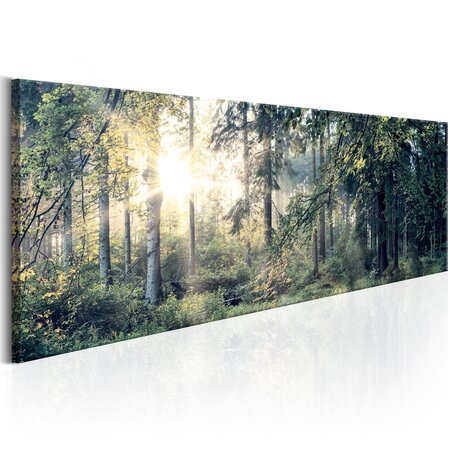 Tableau - morning magic l x h en cm 150x50