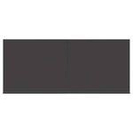 vidaXL Auvent Rétractable Anthracite 300 x 200 cm