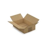 Caisse carton brune simple cannelure raja 24x18x8 cm (lot de 25)