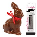 Moule rigide pour lapin en chocolat + Stylo de glaçage noir