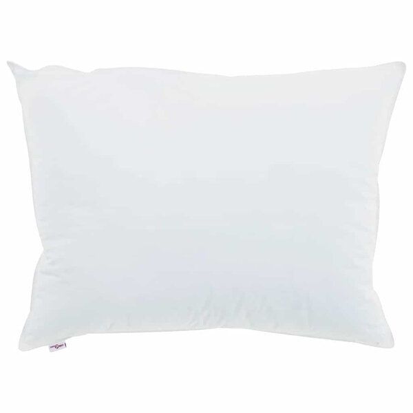vidaXL Oreiller avec oreiller 2 Pièces Blanc 40 x 60 cm Coton