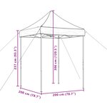 vidaXL Tente de fête 200 x 200 x 306 cm Bordeaux Tissu Oxford