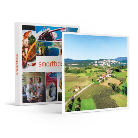 SMARTBOX - Coffret Cadeau Séance de pilotage de drone de 6h comprenant 4 vols à Rochefort  en Savoie -  Sport & Aventure