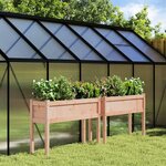 vidaXL Jardinières 2 Pièces avec pieds bois massif douglas