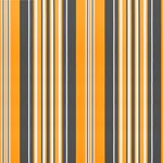 vidaXL Tissu de remplacement pour auvent rayures multicolores 5x3 m