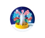 Coffret scientifique  50106 Science  and  Jeu - cristaux géants