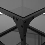 vidaXL Tables basses avec dessus en verre noir 2 Pièces 50x50x45 cm acier