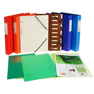 Paquet de 100 chemises FLASH 220 100  recyclé - 24x32cm x 5 EXACOMPTA