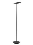 Lampadaire LED LEDCUP N, noir ALBA