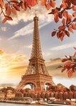 Puzzle N 1000 p - Tour Eiffel en automne