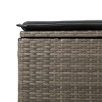vidaXL Salon de jardin 2 Pièces avec coussins gris résine tressée acacia