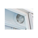 Armoire réfrigérée négative professionnelle vitrée  - 560 l - cool head - r290 - acier1vitrée 750x760x2030mm