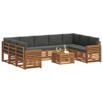 vidaXL Ensemble de canapés d'extérieur 10 pc Naturel et Anthracite
