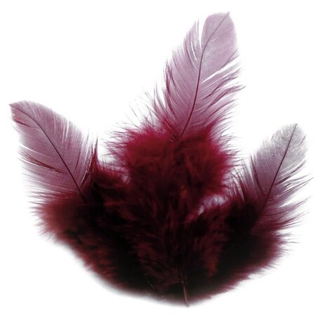 Plumes de coq 10 cm - rouge bordeaux