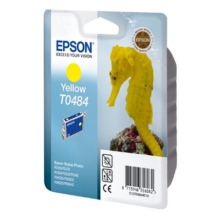 Epson t0484