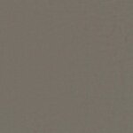 vidaXL Canapé-lit pliable Gris clair 200 x 70 x 15 cm Velours