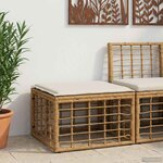 vidaXL Pouf de Jardin Naturel polyrotin