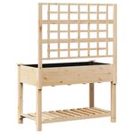 vidaXL Jardinière avec treillis et étagère 115x59x152 cm en bois massif de sapin