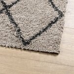 vidaXL Tapis shaggy à poils longs moderne beige anthracite 80x250 cm