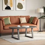 vidaXL Pieds de table basse en forme de V  2 pièces  anthracite  70 x (42-43 3) cm  acier