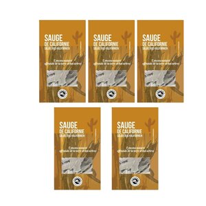 10 rameaux de sauge de Californie à brûler