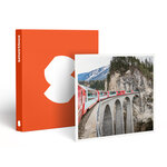 SMARTBOX - Coffret Cadeau L'Europe en train : pass Interrail de 7 jours - Sport & Aventure