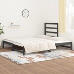 vidaXL Lit coulissant sans matelas gris 2x(90x200) cm