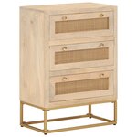 vidaXL Commode 55x30x76 cm bois massif de manguier et fer