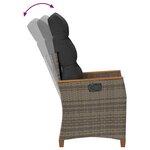 vidaXL Chaise de jardin inclinable Gris et Gris foncé polyrotin