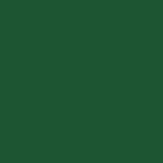 Crayon de couleur Polychromos vert permanente olive 167 FABER-CASTELL